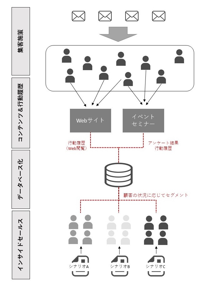 実施内容